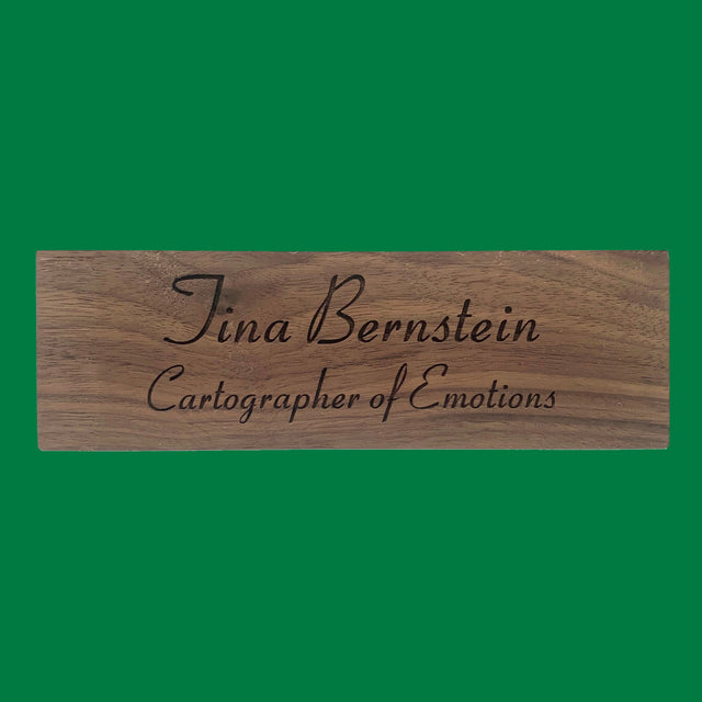 Cartographer of Emotions, Tina Bernstein, Mapology Guides