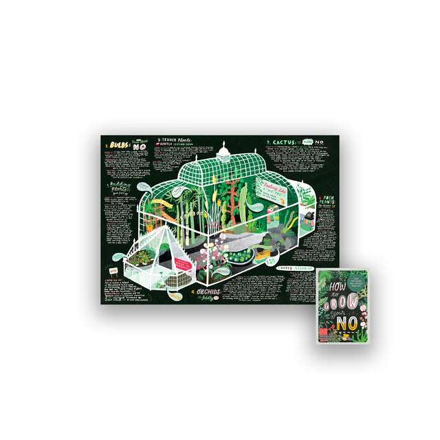 Folded-out illustrated map showing a greenhouse scene explaining different ways to say no