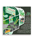 Close-up of illustrated greenhouse section with cactus and rock plants metaphor for strong boundaries